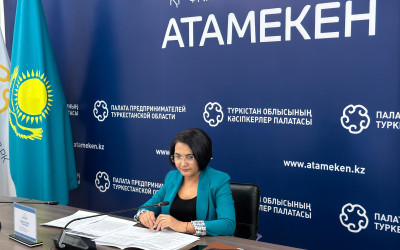 Гранттар, заң және алаяқтар: Түркістанда маңызды жиын өтті