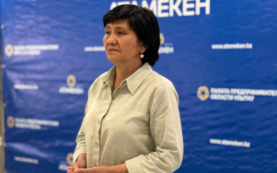 Ауылдағы кәсіпкерлікті қолдау