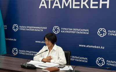 Халықаралық және республикалық маңызы бар жолдың бойынан бизнес нысандарын орналастыру мәселесі талқыланды